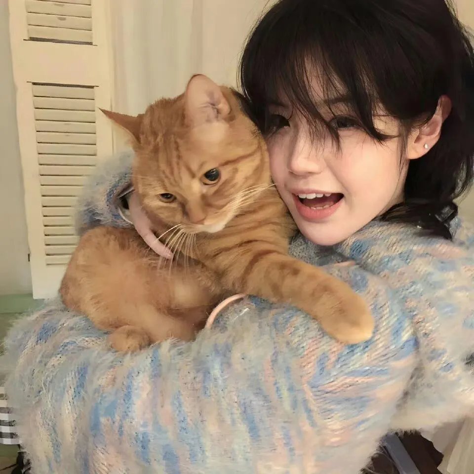 拉布雷亚第三季